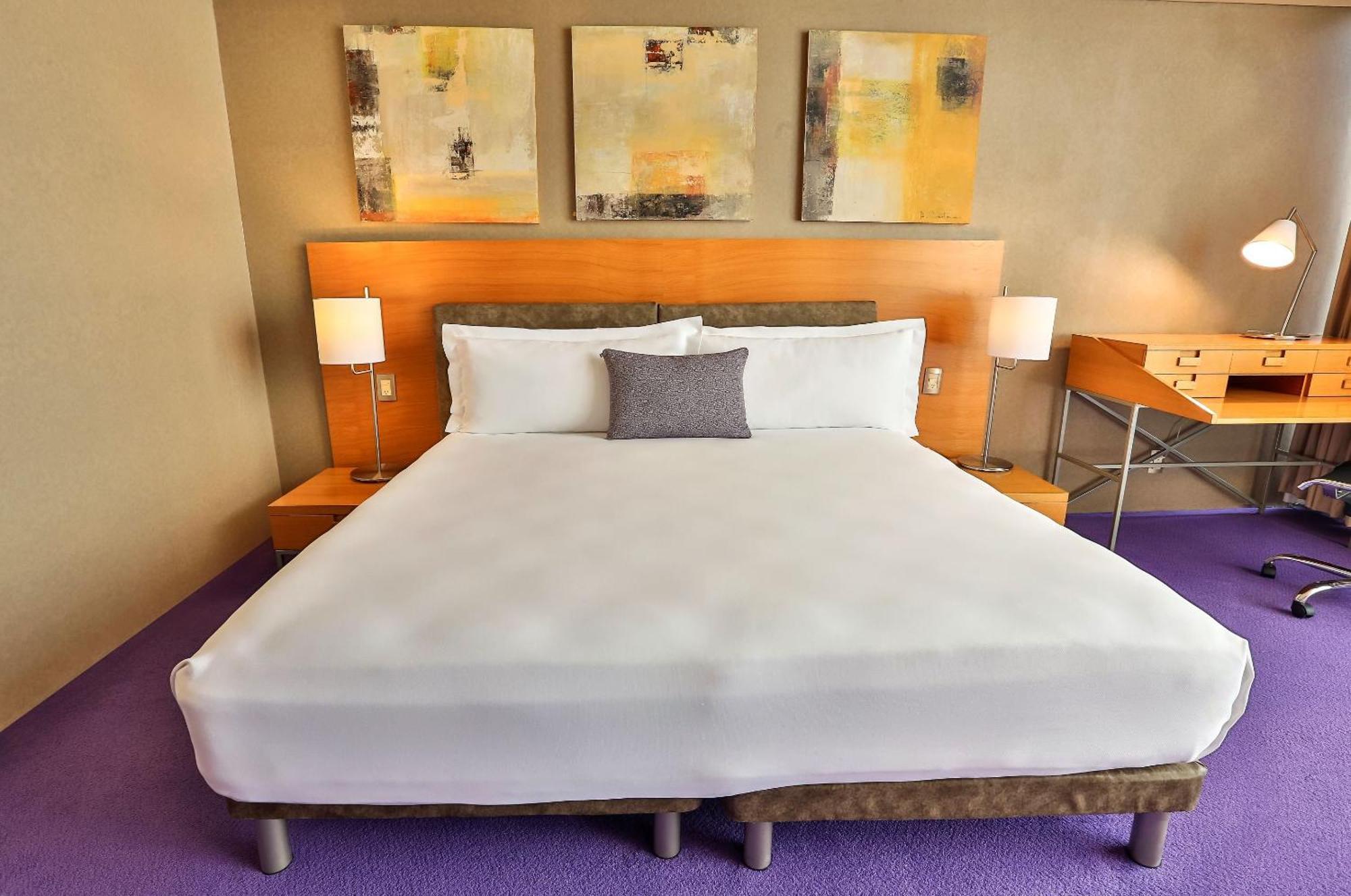 Отель Camino Real Santa Fe Мехико Экстерьер фото A room at the Standard East Village